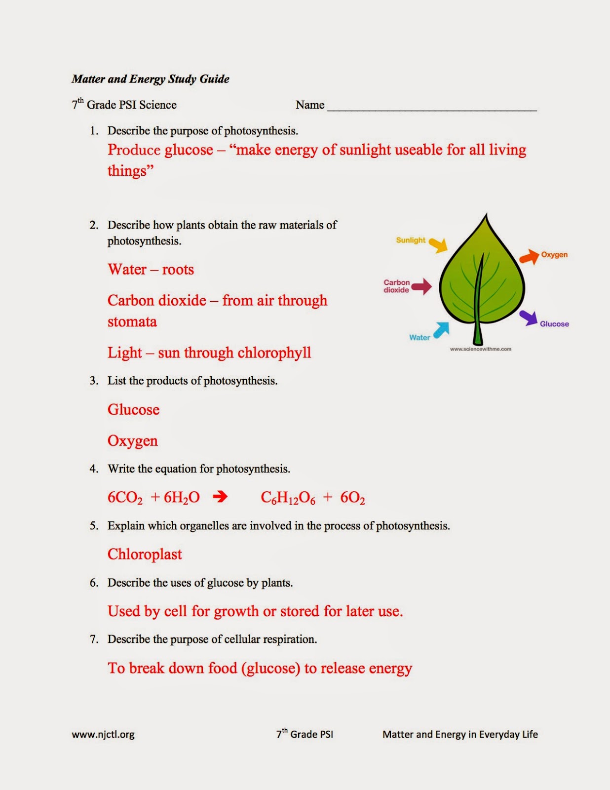 8th grade science energy study guide